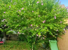 Maison à vendre 4 pièces CHALON SUR SAONE (71)