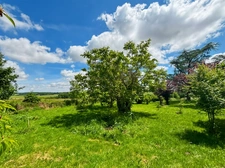 Maison de campagne T4 de 87 m² sur 7 753 m² de terrain à Lagraulet-du-Gers