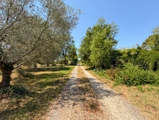 Propriété à vendre 12 pièces Margouët-Meymes (32290)
