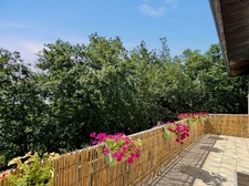 Maison 7 pièces 223m² Valence-sur-Baïse