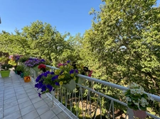 Maison 7 pièces 223m² Valence-sur-Baïse