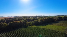  8,5 hectares de bois PARLEBOSCQ (40)