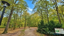 Studio meublé, équipé à vendre - MAUREPAS (78)