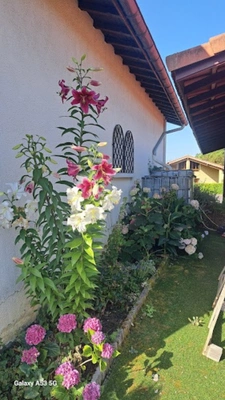 Life annuity house for sale, occupied, 5 rooms, LE HOUGA (32)