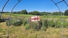 Charming "longère" property
