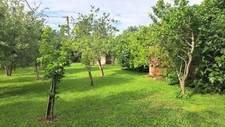 Maison viager LIBRE 7 pièces L'ISLE DE NOE (32)