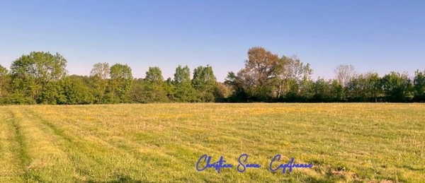 Terrain à vendre  GARDERES (65)