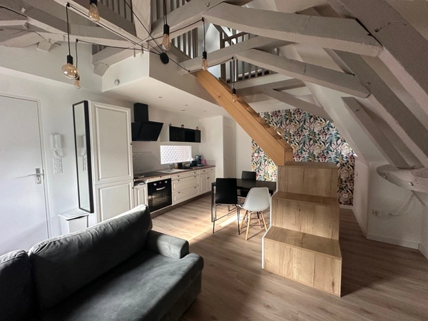 DIJON PLACE DU THEATRE SUPERBE APPARTEMENT T2 RENOVE