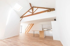 DIJON DARCY GARE  LOFT DE 95.40 M2 CARREZ ET 123 M2 AU SOL 