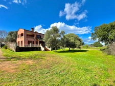 À vendre Villa 7 pièces de 205 m², Terrain 2 700 m², Havre de paix, Folelli, Penta di Casinca, Haute-Corse (20)