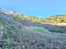 Terrain vue mer de 1407 m2 à FOLELLI, Penta di Casinca (HAUTE CORSE)