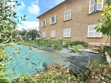A vendre maison de 300 m2 divisées en 4 habitations, terrain 1395 m2, garage et terrain cOnstructible à MONTE (Haute Corse)