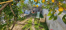Maison T5 de 124 m2, avec grande terrasse et vue panoramique sur la mer, parking et son jardin à FOLELLI 20213 (HAUTE CORSE)