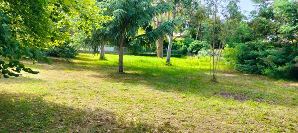 A vendre Terrain de 2200 m2, plat, arboré et clôturé à SAN NICOLAO (HAUTE CORSE)