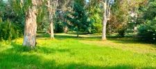 A vendre Terrain de 2200 m2, plat, arboré et clôturé à SAN NICOLAO (HAUTE CORSE)