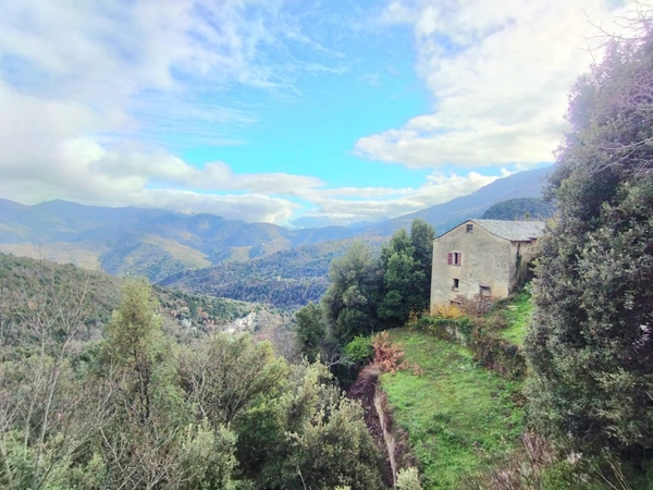 Maison en pierre 7 pièces, 120 m2 + caves, à rénover entièrement à PIE D'OREZZA, Campodonico (HAUTE CORSE)