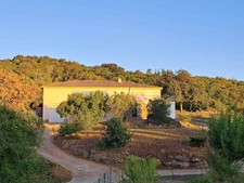 Maison de plain pied 170 m2, 5 chambres, piscine, garage, sans vis-à-vis,  terrain 5540 m2 à SAN NICOLAO, Moriani (HAUTE CORSE)