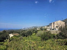 Maison familiale de 226 m2 divisée en 4 habitations indépendantes, vue mer, terrain 2000 m2, garage et terrasses à MORSIGLIA (HAUTE CORSE)
