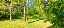 A vendre Terrain de 2200 m2, plat, arboré et clôturé à SAN NICOLAO (HAUTE CORSE)