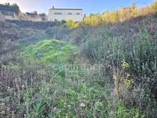 Terrain vue mer de 1407 m2 à FOLELLI, Penta di Casinca (HAUTE CORSE)