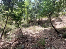Terrain de loisirs de 2366 m2 à RIVENTOSA (HAUTE CORSE)