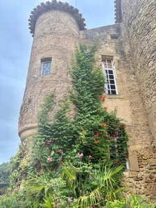 MARCIAC (32): Former seigniory, beautiful 14th-century castle on +3hectares, hidden at the end of the road, no neighbors, in the countryside, 500m2 of living space, heated swimming pool, discover the 