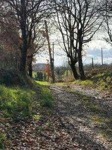 PLAISANCE (32) nearby: at the end of the road, NO NEIGHBORS, beautiful VIEW, beautiful 174m2 HOUSE, economical, ecological, on 15000m2 of flat, elevated land. 