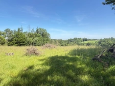 Nogaro(32) 7 km, ANCIENNE METAIRIE GASCONNE 280m2 dont 160m2 habtiables sur 4.5ha, au bout d'un long chemin, CACHEE, SANS VIS A VIS, 5 ha de bois et terres, AU CALME, dépendances, rare