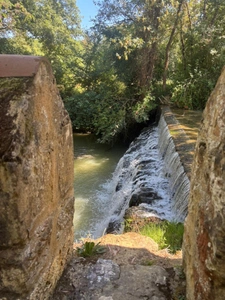 MARCIAC(32) proche: AUTHENTIQUE MOULIN SEIGNEURIAL d'EXCEPTION  des XIV-XVIIIs, caché, avec son bief baignable, 1.5 HECTARE, élégante rénovation, meublé, tennis, RARE