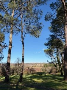 AIGNAN(32) : ELEGANTE MAISON TRADITIONNELLE  des années 80, SANS TRAVAUX, 150m2 habitables, bien située à AIGNAN, sur 2.000m2, les commerces A PIED !