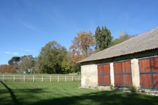 Dpt (32) NOGARO nearby, ELEGANT NOTABLES' HOUSE, economical, from the 19th century, 600M2, centuries-old park, U-shaped outbuildings, 11 ha, no work required, 