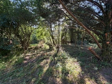 PLAISANCE du GERS proche(32): ANCIENNE PROPRIETE BOURGEOISE avec dépendances, bois, petit etang, 2 hectares,CALME, sans vis à vis,