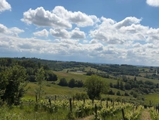  PLAISANCE (32); AUTHENTIC GASCONNE HOUSE 300M2 in its original condition, somewhat hidden, 1HA large outbuildings...