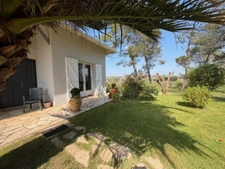 AIGNAN(32) : ELEGANTE MAISON TRADITIONNELLE  des années 80, SANS TRAVAUX, 150m2 habitables, bien située à AIGNAN, sur 2.000m2, les commerces A PIED !