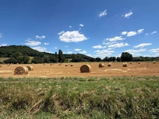 MARCIAC (32): Former seigniory, beautiful 14th-century castle on +3hectares, hidden at the end of the road, no neighbors, in the countryside, 500m2 of living space, heated swimming pool, discover the 