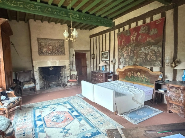 MARCIAC(32): ancienne SEIGNEURIE avec BEAU CHATEAU XIV sur 3,5ha, cachée, au bout du chemin, sans voisin, en campagne, 500m2 habitables, piscine chauffée, découvrez les riches heures des seigneurs 