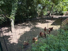 PLAISANCE (32) nearby: BEAUTIFUL renovated COUNTRY HOUSE 170m2, economical, no NEIGHBORS, QUIET location, enclosed garden 3300m2, outbuildings 