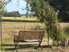 PLAISANCE(32) du Gers: AUTHENTIQUE LONGERE XVIIIs de 240m2, 4chambres, sur jardin paysagé clos de 2.500m2 et piscine hors sol, possibilité de chambres d hotes et/ou petit gîte ou accueil d'un parent,