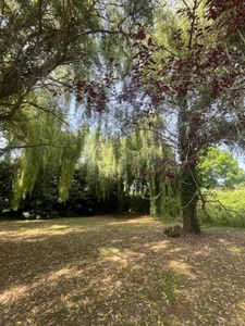 PLAISANCE (32): SANS TRAVAUX, MAISON XVIIIs restaurée avec élégance SUR 240M2 habitables, 6600m2 de jardin,géothermie,  puits, géothermie, grandes dependances environnement bucolique 