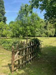  PLAISANCE (32): SANS TRAVAUX, MAISON XVIIIs restaurée avec élégance SUR 240M2 habitables, 6600m2 de jardin,géothermie,  puits, géothermie, grandes dependances environnement bucolique 