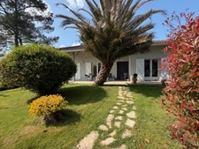 AIGNAN(32) : ELEGANTE MAISON TRADITIONNELLE  des années 80, SANS TRAVAUX, 150m2 habitables, bien située à AIGNAN, sur 2.000m2, les commerces A PIED !