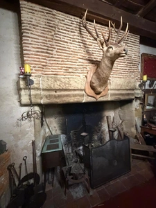 MARCIAC (32): Former seigniory, beautiful 14th-century castle on +3hectares, hidden at the end of the road, no neighbors, in the countryside, 500m2 of living space, heated swimming pool, discover the 