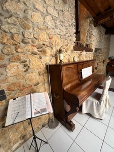 PLAISANCE DU GERS 10 min: ELEGANTE MAISON DE CARACTERE, restaurée par architecte, 320m2, 4700m2 en partie clos