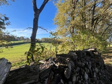 MARCIAC (32), MAISON DE CHARME de 1995, 130 m² habitables, 3200m2 terrain arboré, un peu cachée, vue, 4 chambres, grand sejour, SANS NUISANCE 