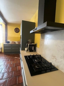  PLAISANCE (32): SANS TRAVAUX, MAISON XVIIIs restaurée avec élégance SUR 240M2 habitables, 6600m2 de jardin,géothermie,  puits, géothermie, grandes dependances environnement bucolique 