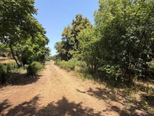PLAISANCE du GERS proche(32): ANCIENNE PROPRIETE BOURGEOISE avec dépendances, bois, petit etang, 2 hectares,CALME, sans vis à vis,