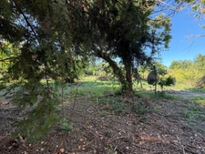 PLAISANCE du GERS proche(32): ANCIENNE PROPRIETE BOURGEOISE avec dépendances, bois, petit etang, 2 hectares,CALME, sans vis à vis,