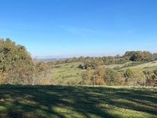 MARCIAC (32), MAISON DE CHARME de 1995, 130 m² habitables, 3200m2 terrain arboré, un peu cachée, vue, 4 chambres, grand sejour, SANS NUISANCE 