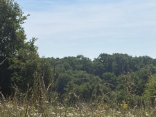 Nogaro(32) 7 km, ANCIENNE METAIRIE GASCONNE 280m2 dont 160m2 habtiables sur 4.5ha, au bout d'un long chemin, CACHEE, SANS VIS A VIS, 5 ha de bois et terres, AU CALME, dépendances, rare