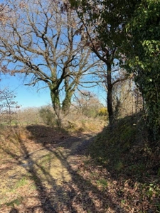 PLAISANCE (32) nearby: at the end of the road, NO NEIGHBORS, beautiful VIEW, beautiful 174m2 HOUSE, economical, ecological, on 15000m2 of flat, elevated land. 